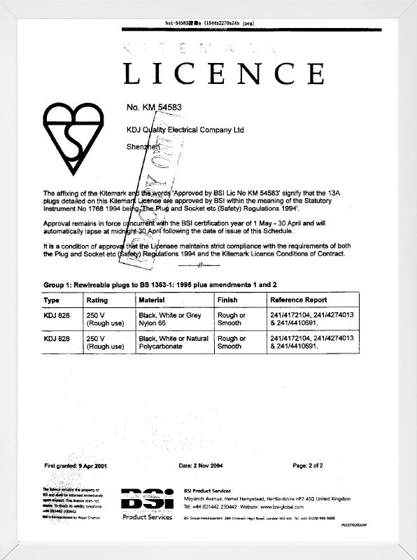 BS Plug Certificate